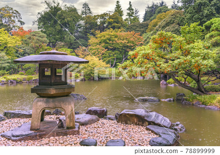 [Nishigahara, Tokyo] A cat that shelters from the rain in early autumn under the huge snow-viewing stone lantern in the dry landscape garden of the Kyu-Furukawa Garden. 78899999