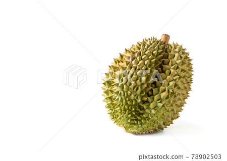Ripe Monthong Durian fruit isolated on white background, 78902503