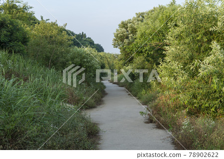 Ttukseom遊樂園 78902622