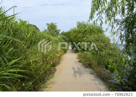 Ttukseom遊樂園 78902623