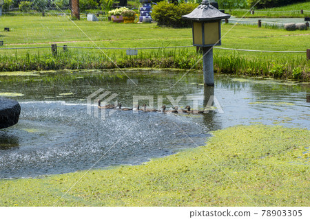 A seminar A seminar 78903305