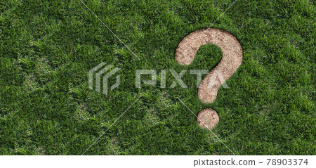 Landscaping Questions 78903374