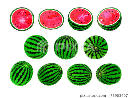 Watermelon illustration material Watermelon illustration material 78903407