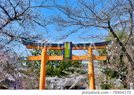 京都平野神社 78904170