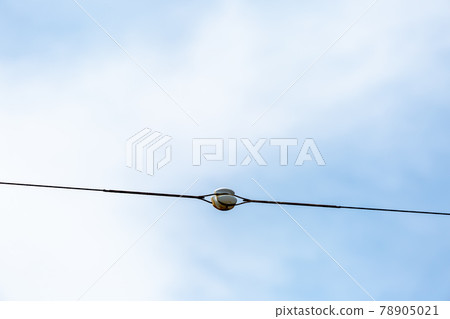 電線 電線 78905021