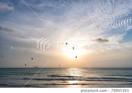 sunrise in ocean or sea water with silhouette of ship and seagulls on sunset sky, sky sunrise. sunrise in ocean or sea water with silhouette of ship and seagulls on sunset sky, sky sunrise. 78905363