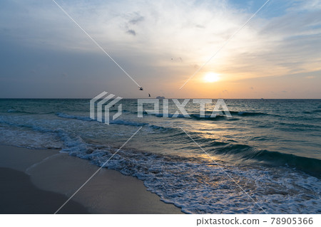 sunrise in sea at miami beach with ship and seagulls on sunset sky background, beach sunset. sunrise in sea at miami beach with ship and seagulls on sunset sky background, beach sunset. 78905366