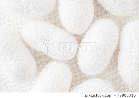 background with silk cocoons, commercially bred caterpillar of silkworm moth background with silk cocoons, commercially bred caterpillar of silkworm moth 78906310