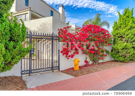 Iron gate and fence of house with plants flowers and fire hydrant at road side 78906999