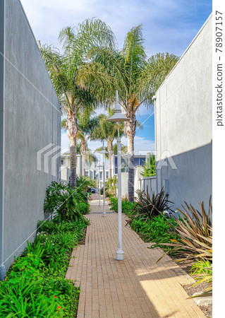 Pathway and lamp posts between residential buildings in Huntington Beach CA 78907157