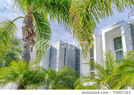 Palm trees and modern home in sunny Huntington Beach California with cloudy sky 78907163