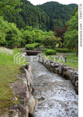 A park with a stream A park with a stream 78907778