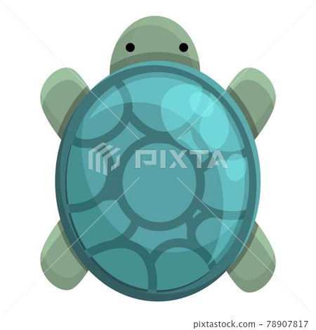 Beach turtle icon, cartoon style 78907817