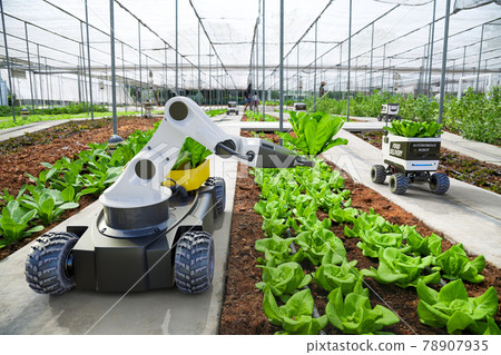 Agriculture robotic and autonomous car working in smart farm, Future 5G technology with smart agriculture farming concept 78907935