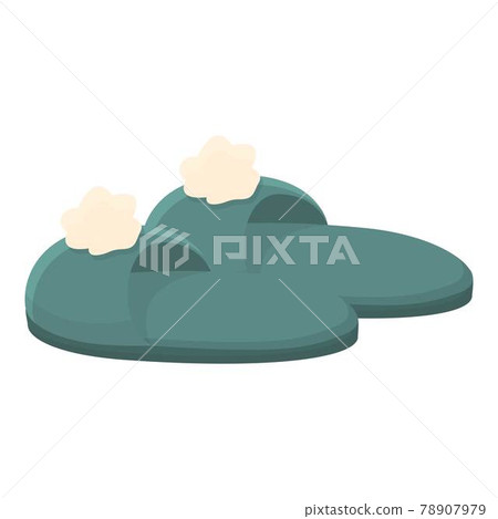 Branded slippers icon, cartoon style 78907979