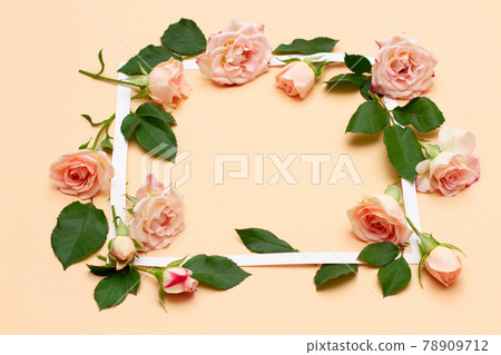 small white and pink flowers of a rose with green young leaves. 78909712