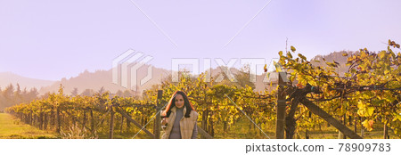 Young woman with a glass of white wine in the vineyards of Italy. Person pouring wine. Free space Young woman with a glass of white wine in the vineyards of Italy. Person pouring wine. Free space 78909783