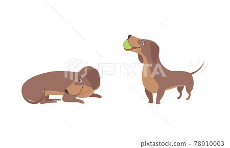 Cute Funny Dachshund Dog et, Adorable Playful Funny Pet Animal Cartoon Vector Illustration Cute Funny Dachshund Dog et, Adorable Playful Funny Pet Animal Cartoon Vector Illustration 78910003
