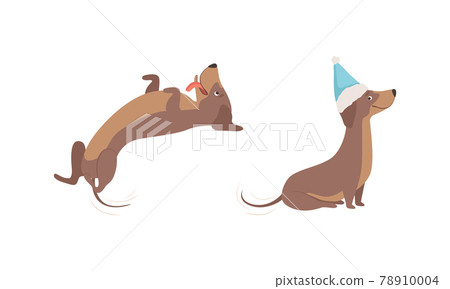 Cute Brown Dachshund Dog in Various Poses Set, Adorable Funny Pet Animal Cartoon Vector Illustration Cute Brown Dachshund Dog in Various Poses Set, Adorable Funny Pet Animal Cartoon Vector Illustration 78910004