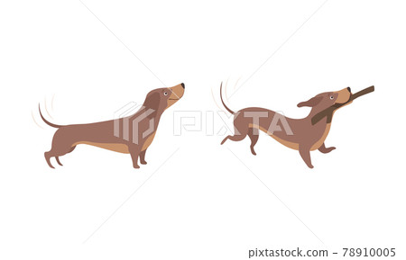 Cute Brown Dachshund Dog Activity Set, Adorable Funny Pet Animal Cartoon Vector Illustration Cute Brown Dachshund Dog Activity Set, Adorable Funny Pet Animal Cartoon Vector Illustration 78910005