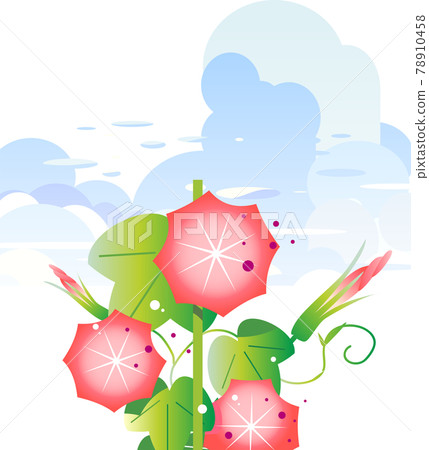 Red morning glory and summer sky background Red morning glory and summer sky background 78910458