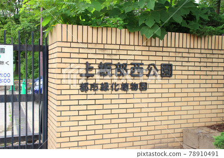 Kamisakabenishi Park (Amagasaki Urban Botanical Garden) / 2-chome, Higashitsukaguchi-cho, Amagasaki, Hyogo Prefecture Kamisakabenishi Park (Amagasaki Urban Botanical Garden) / 2-chome, Higashitsukaguchi-cho, Amagasaki, Hyogo Prefecture 78910491