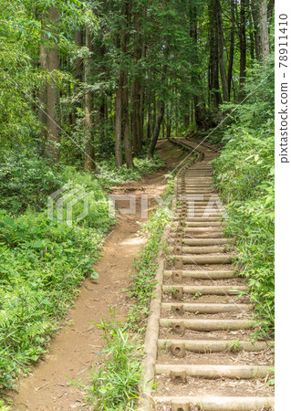 Road from Mt. Tenran to Mt. Taminenushi | Hanno City, Saitama Prefecture Road from Mt. Tenran to Mt. Taminenushi | Hanno City, Saitama Prefecture 78911410