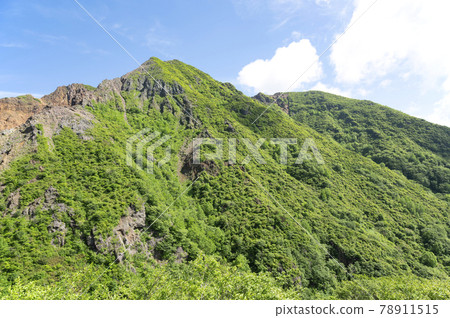 櫪木縣那須山的山路風景 78911515