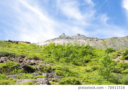 Scenery looking up at Mt. Chausu from the Nasu mountain trail in Tochigi prefecture 78911516