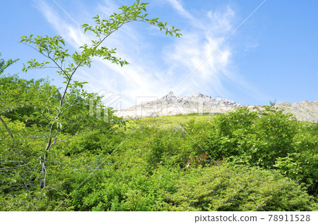 Scenery looking up at Mt. Chausu from the Nasu mountain trail in Tochigi prefecture 78911528