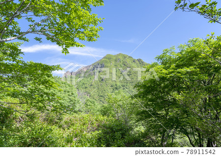 Scenery of Mt. Asahi seen from the mountain trail of Mt. Nasu, Tochigi Prefecture 78911542