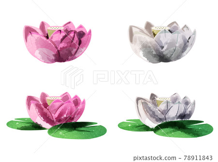哈斯花水彩風格 78911843