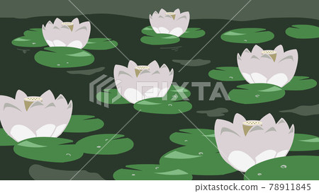 Hass flower white background Hass flower white background 78911845