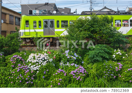 繡球花龍鐵龍鐵線鐵路風景 78912369