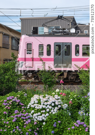 繡球花龍鐵龍鐵線鐵路風景 繡球花龍鐵龍鐵線鐵路風景 78912370