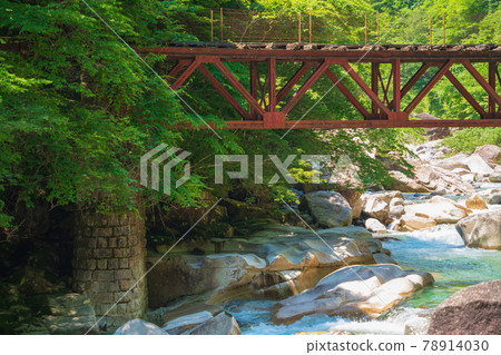 Atera Valley: Scenery of an abandoned forest railway that crosses the Atera River Atera Valley: Scenery of an abandoned forest railway that crosses the Atera River 78914030