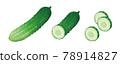 Cucumber illustration 78914827