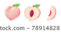 Peach illustration 78914828