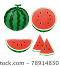 Watermelon illustration 78914830