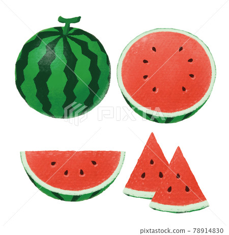 Watermelon illustration 78914830