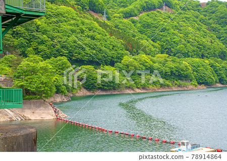 Lake Ikari Spring Scenery Nikko City 78914864