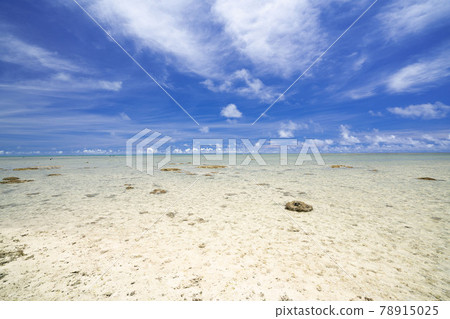 淺海和藍天 淺海和藍天 78915025