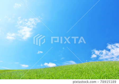 Summer blue sky and fresh green meadow landscape Summer blue sky and fresh green meadow landscape 78915189