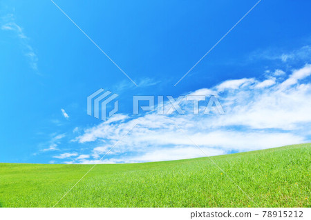 Summer blue sky and fresh green meadow landscape 78915212