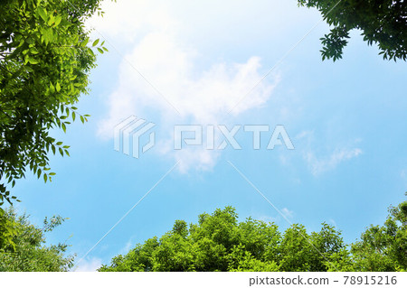 Summer blue sky and fresh green landscape Summer blue sky and fresh green landscape 78915216