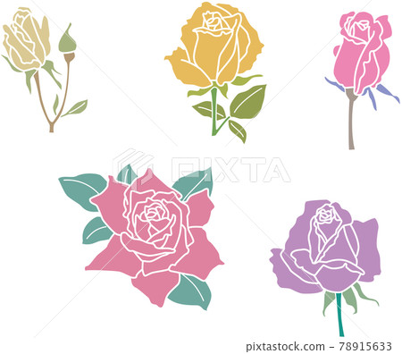 五色玫瑰 78915633