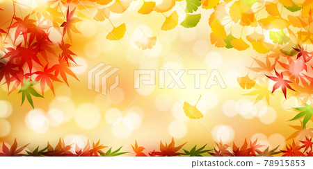 Autumn leaves ginkgo foliage background 78915853