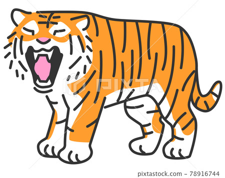 A tiger yawning like barking 78916744