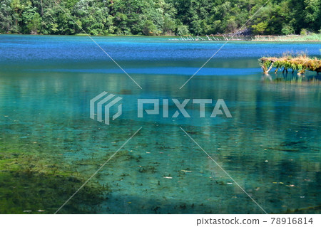 Gokakai 的藍色水,一組在中國四川九寨溝的湖泊 Gokakai 的藍色水,一組在中國四川九寨溝的湖泊 78916814