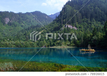 Gokakai 的藍色水,一組在中國四川九寨溝的湖泊 Gokakai 的藍色水,一組在中國四川九寨溝的湖泊 78916815